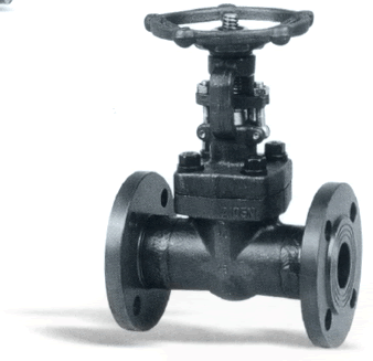 鍛鋼法(fa)蘭端閘閥